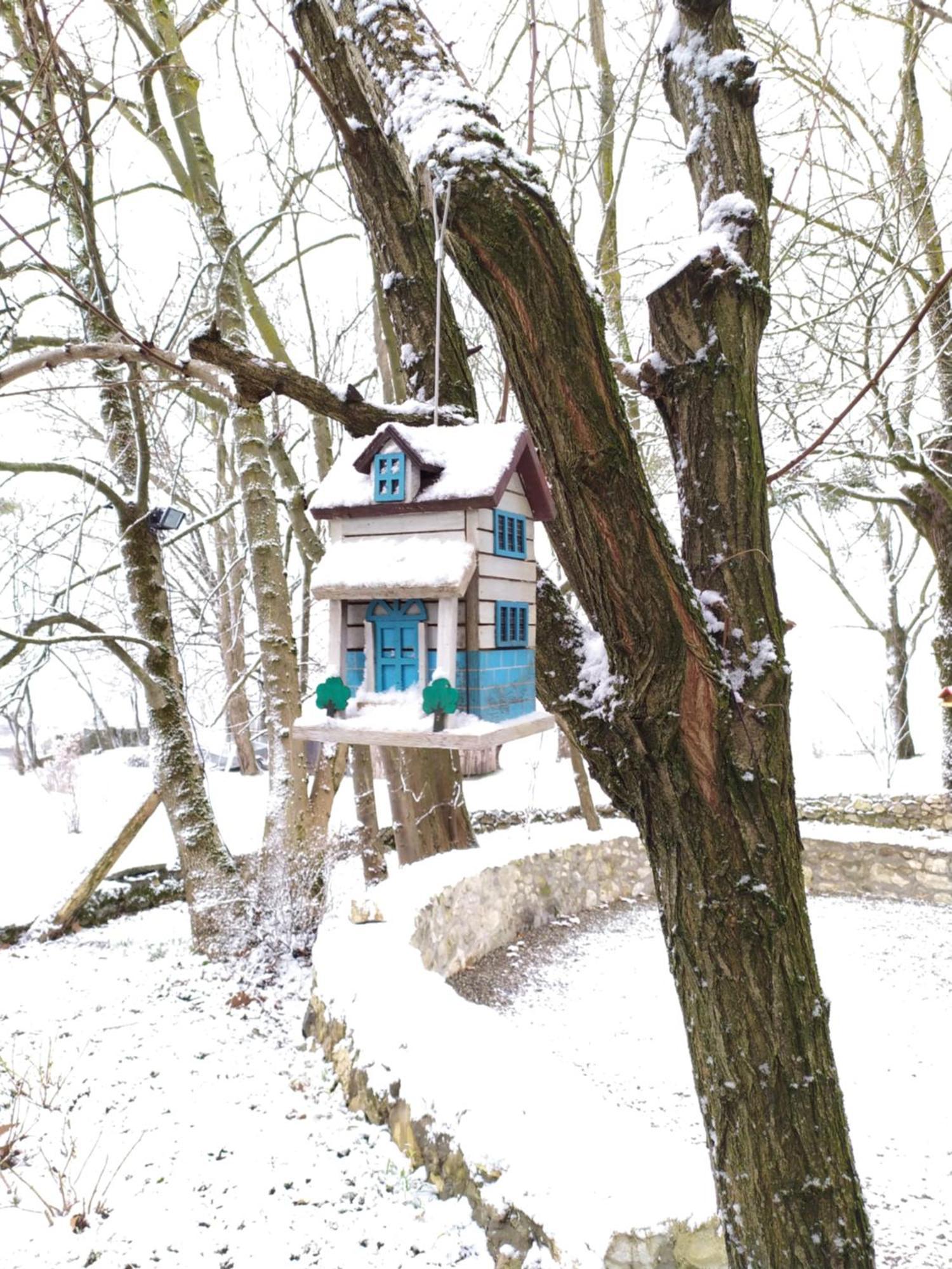 Gite Arthur Et Germaine Maisonnette A La Campagne Avec Un Grand Jardin Saint-Jeoire-Prieure Exterior foto